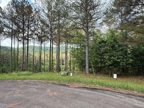 Lot 9 Eastview Trail Ellijay GA 30536