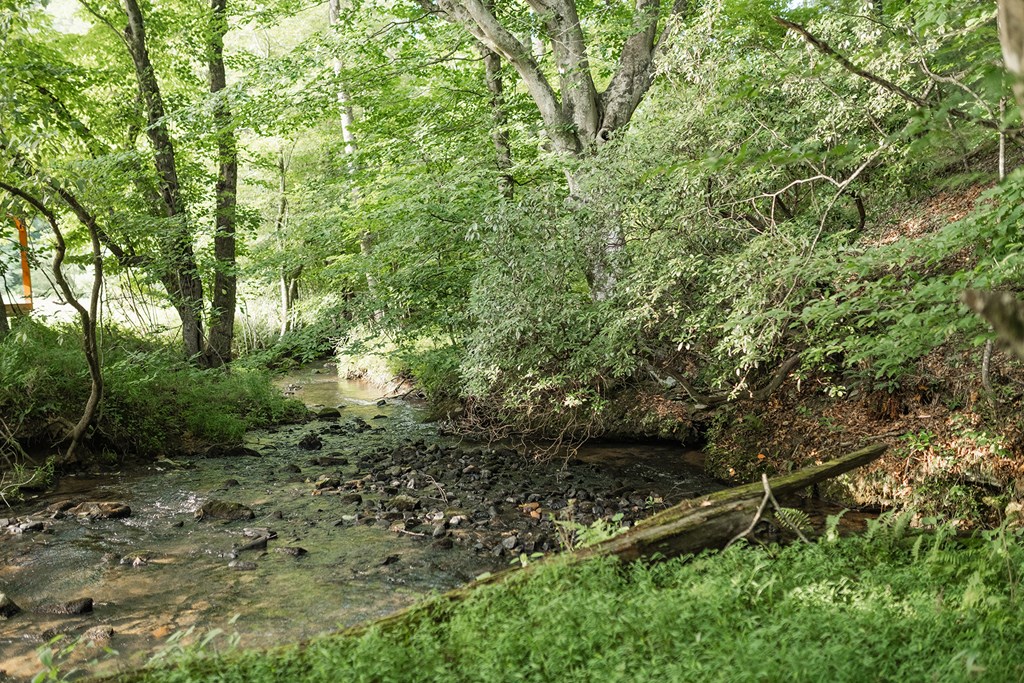 328 Black Ankle Creek Road