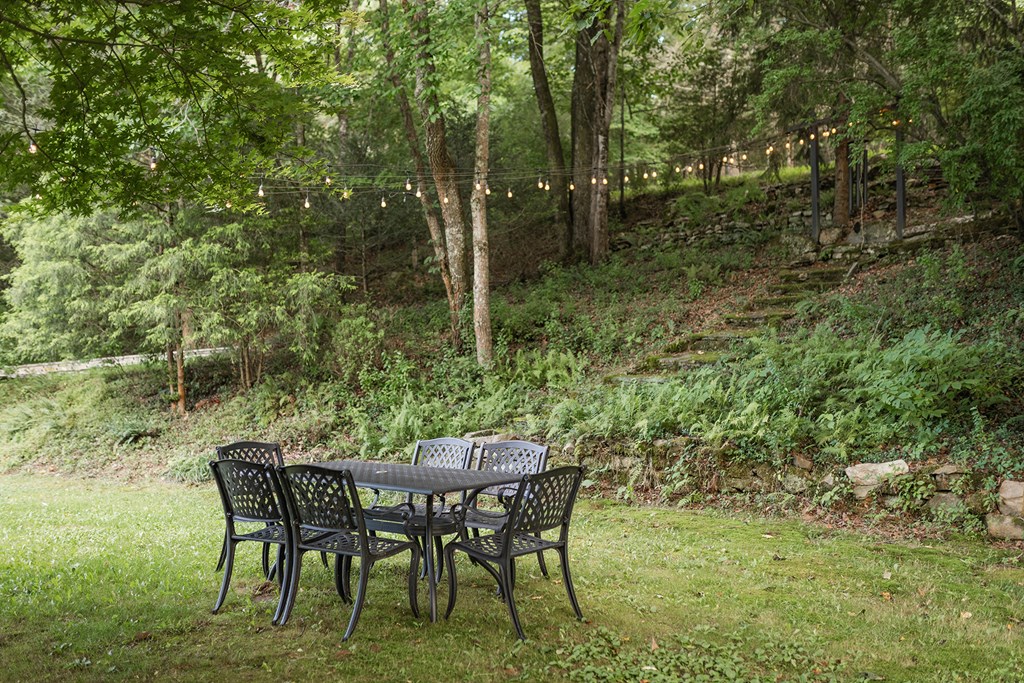 328 Black Ankle Creek Road