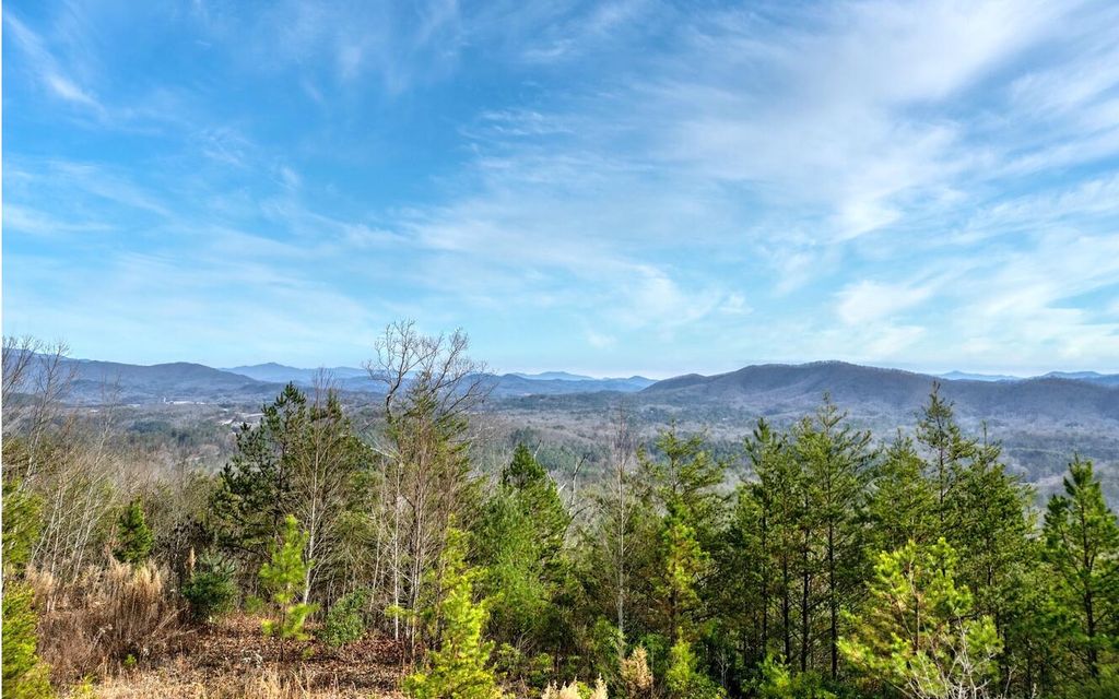 Search Area Properties Jamie Lea Blairsville REALTOR®
