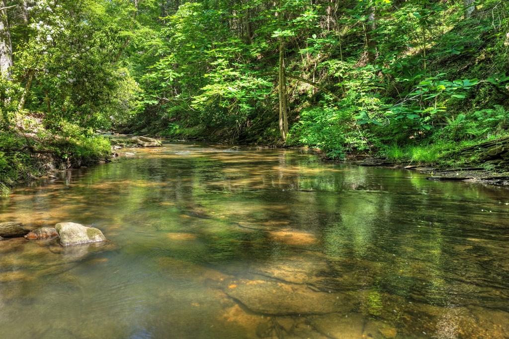 Lot 90R Mountain Creek Hollow Drive