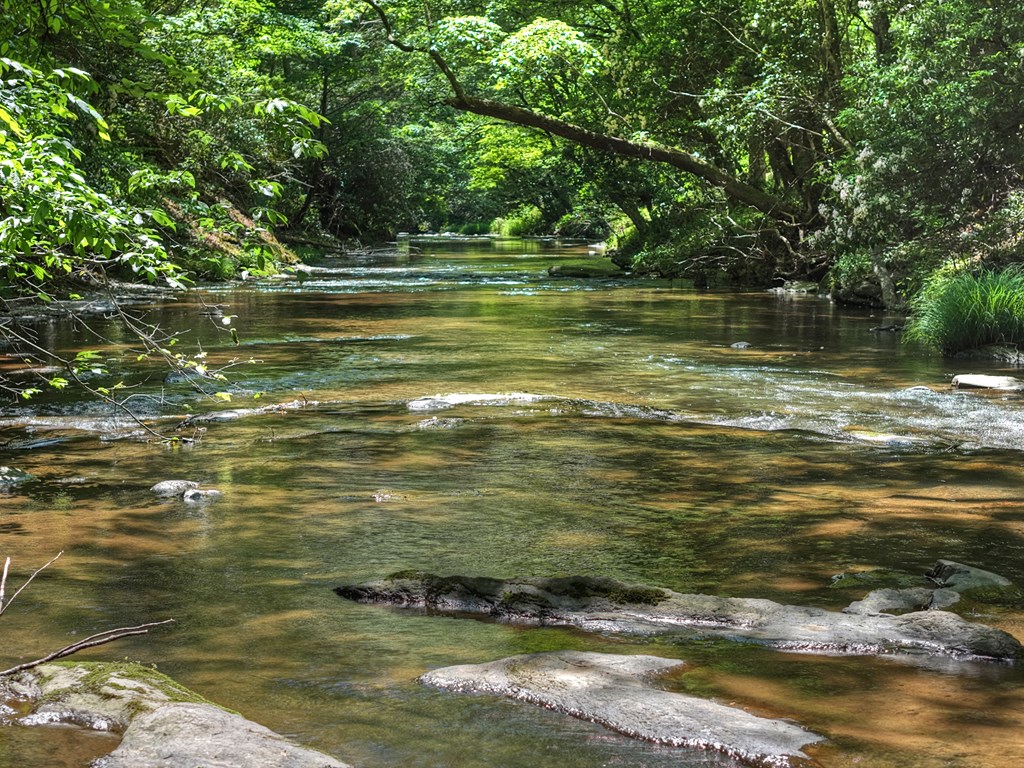Lot 90R Mountain Creek Hollow Drive