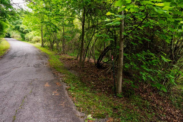 Lot 29 Hidden Forest Lane