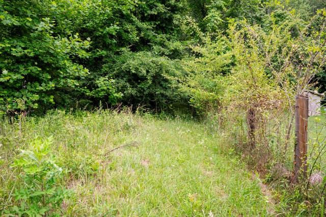 Lot 29 Hidden Forest Lane