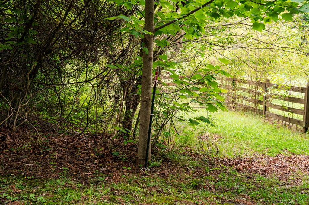 Lot 29 Hidden Forest Lane