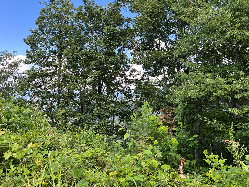 Lot 73M Ridges Overlook