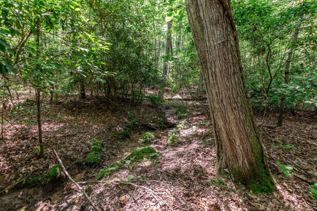 Lot 11 Rocking Chair Ridge