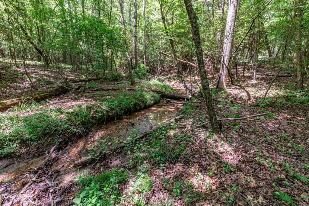 Lot 11 Rocking Chair Ridge