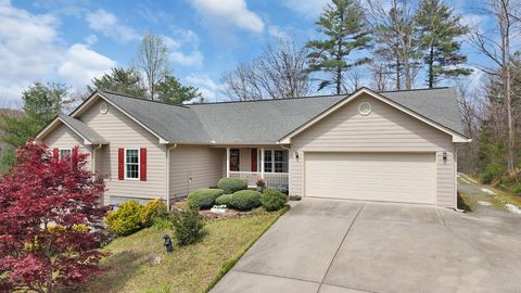 73 The Oaks Drive Ellijay GA 30540