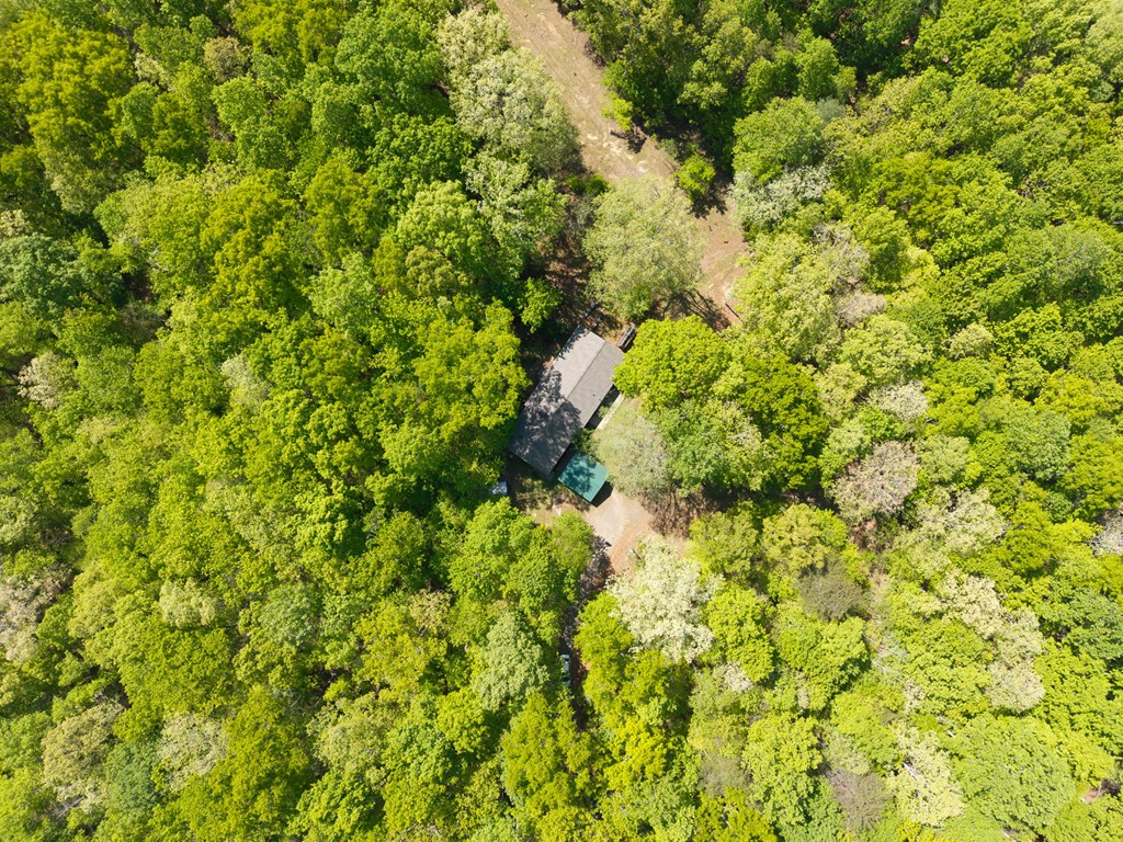 401 Guest Lane