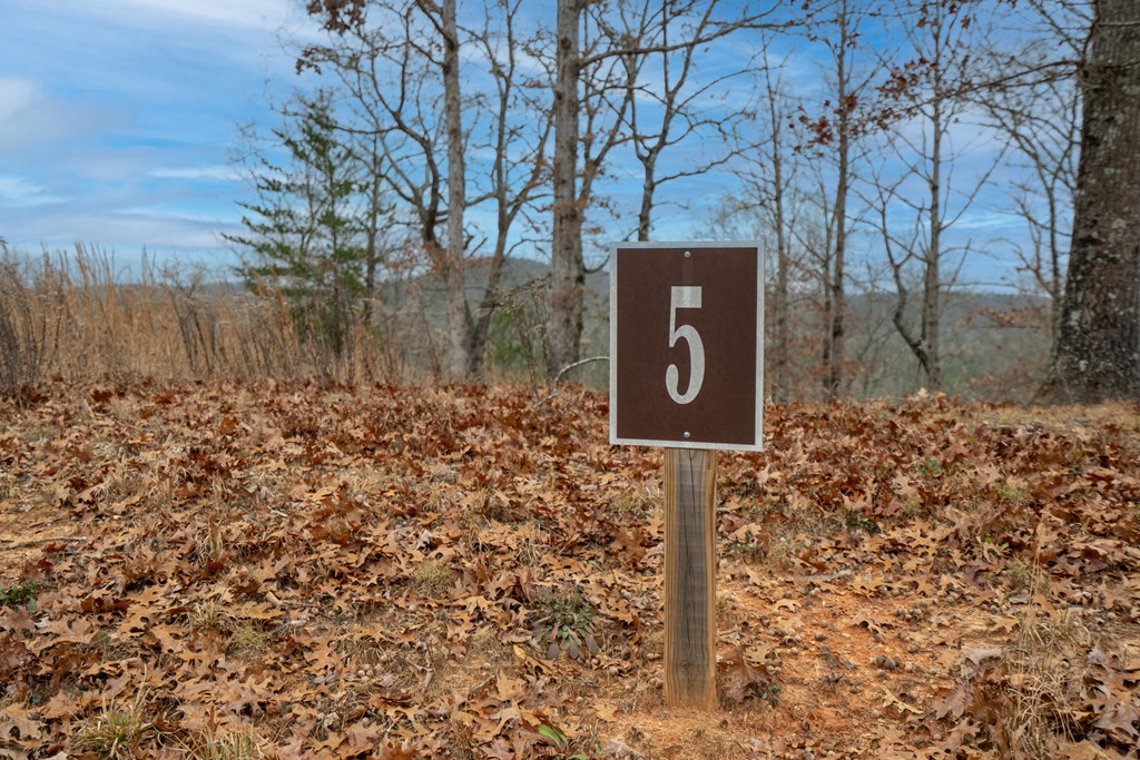 Lot 5 Blalock Mountain Road