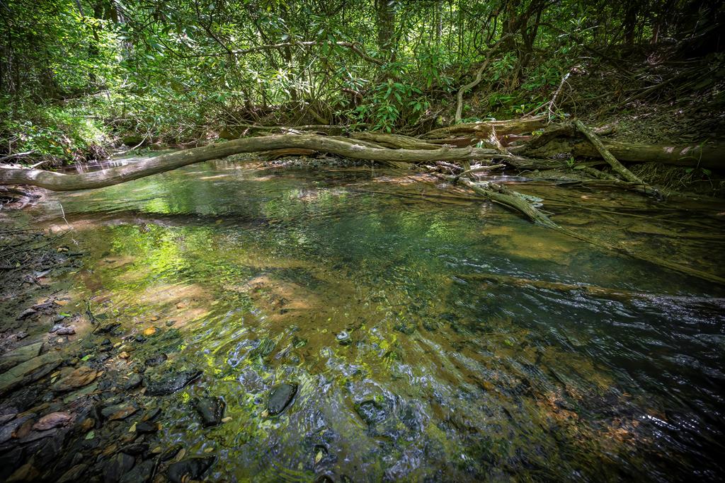 1-1A Jonica Gap Rd, Mineral Bluff, GA 30559