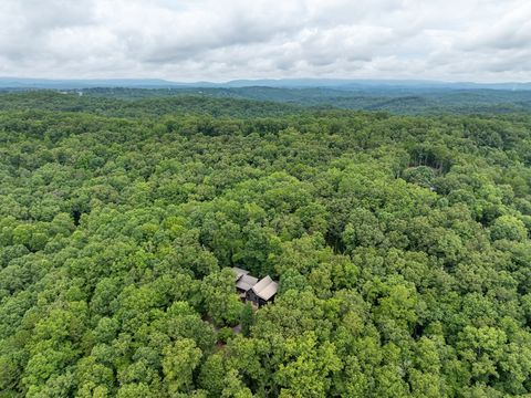 A home in Blue Ridge