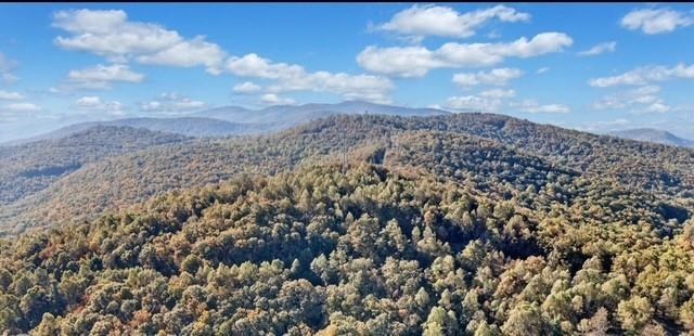 Lot 2 Upper Sassafras Parkway