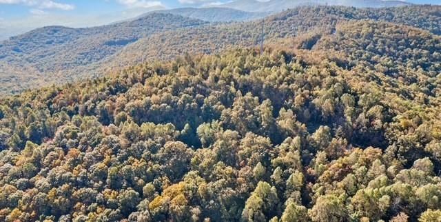 Lot 2 Upper Sassafras Parkway