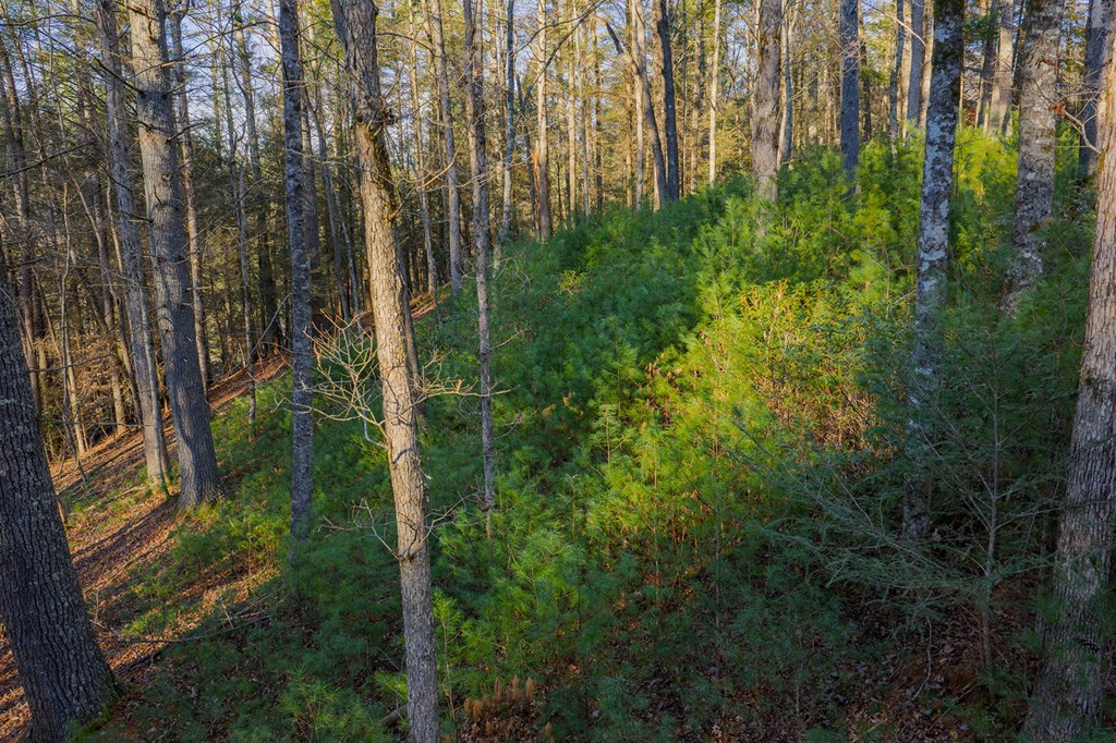Lot 56 Riverbend Trail