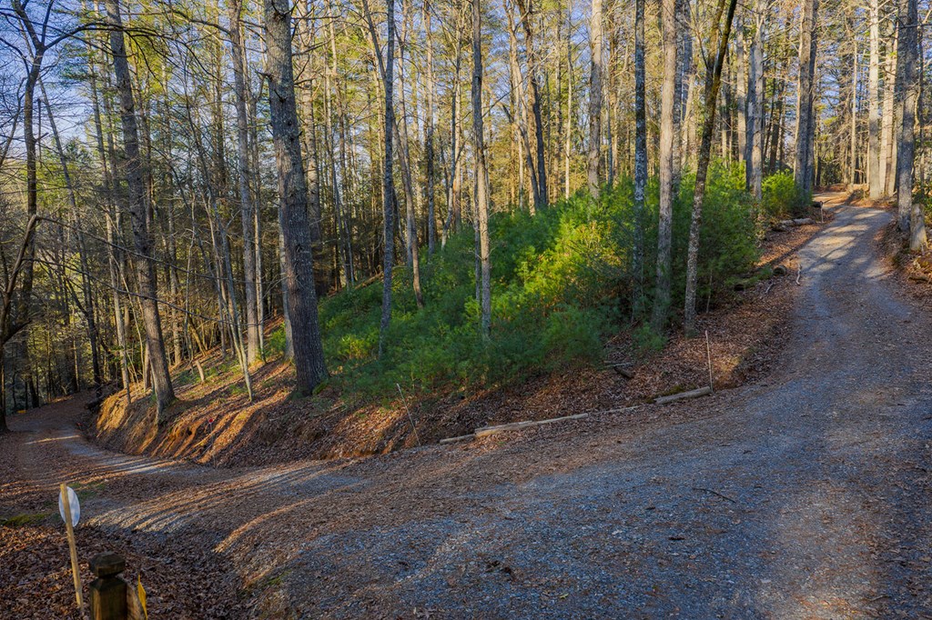 Lot 56 Riverbend Trail