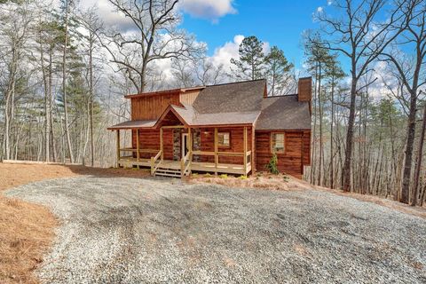 A home in Mineral Bluff