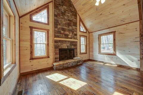 A home in Mineral Bluff