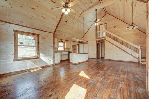 A home in Mineral Bluff