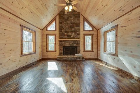 A home in Mineral Bluff