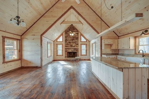 A home in Mineral Bluff