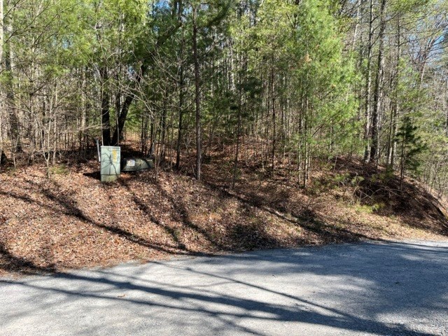 LOT 24 Pickett Mill Lane