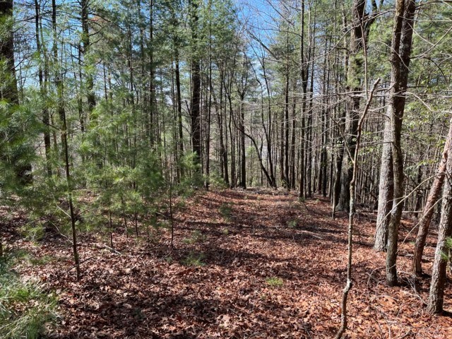 LOT 24 Pickett Mill Lane