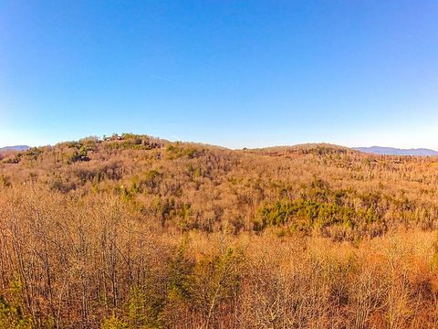 A home in Blue Ridge