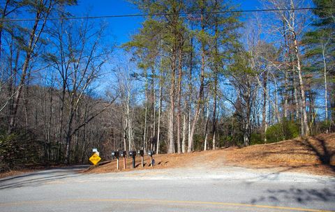 A home in Blue Ridge