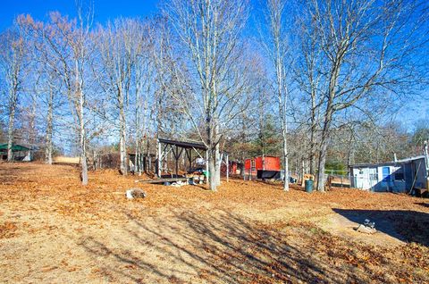 A home in Blue Ridge