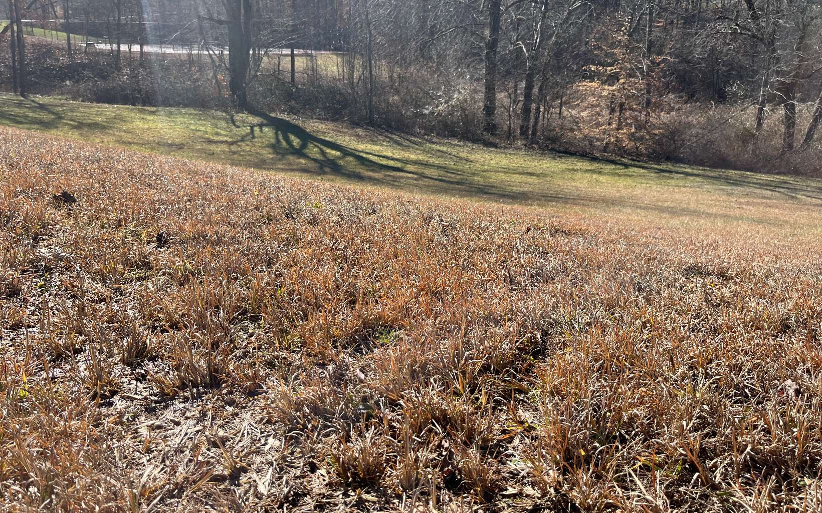 LT117 Owen Glen Drive