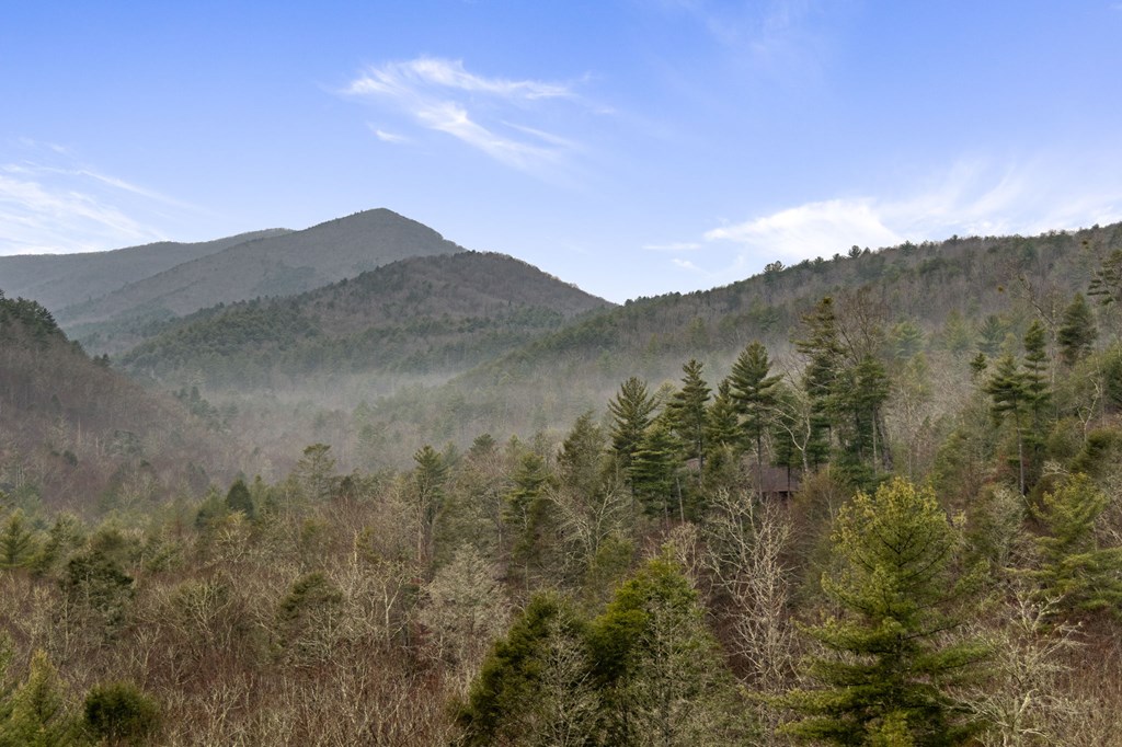 197 Rich Mountain Overlook