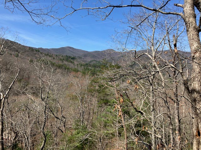 4553 Jones Gap Road
