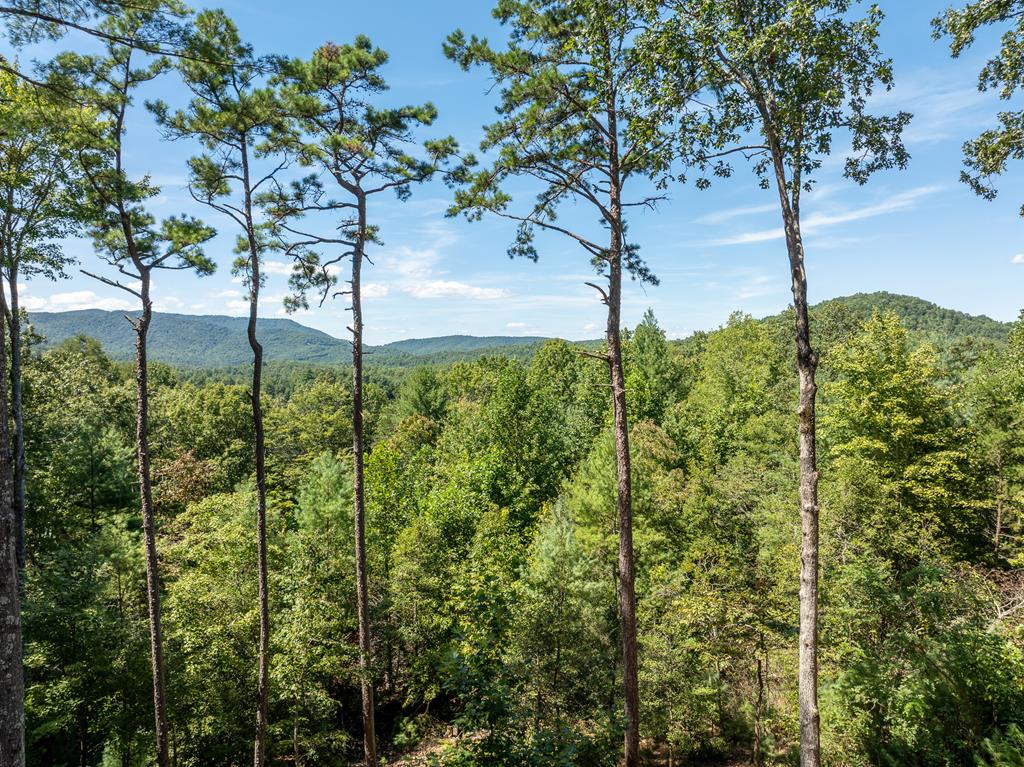 454 N. Old Aska Road