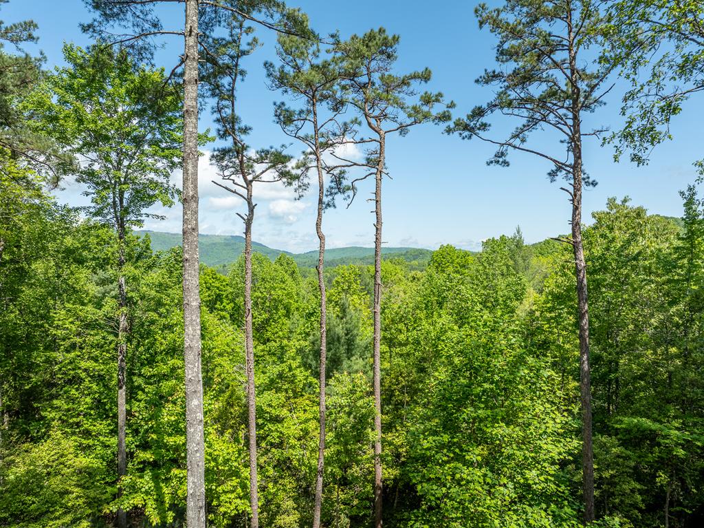 454 N. Old Aska Road