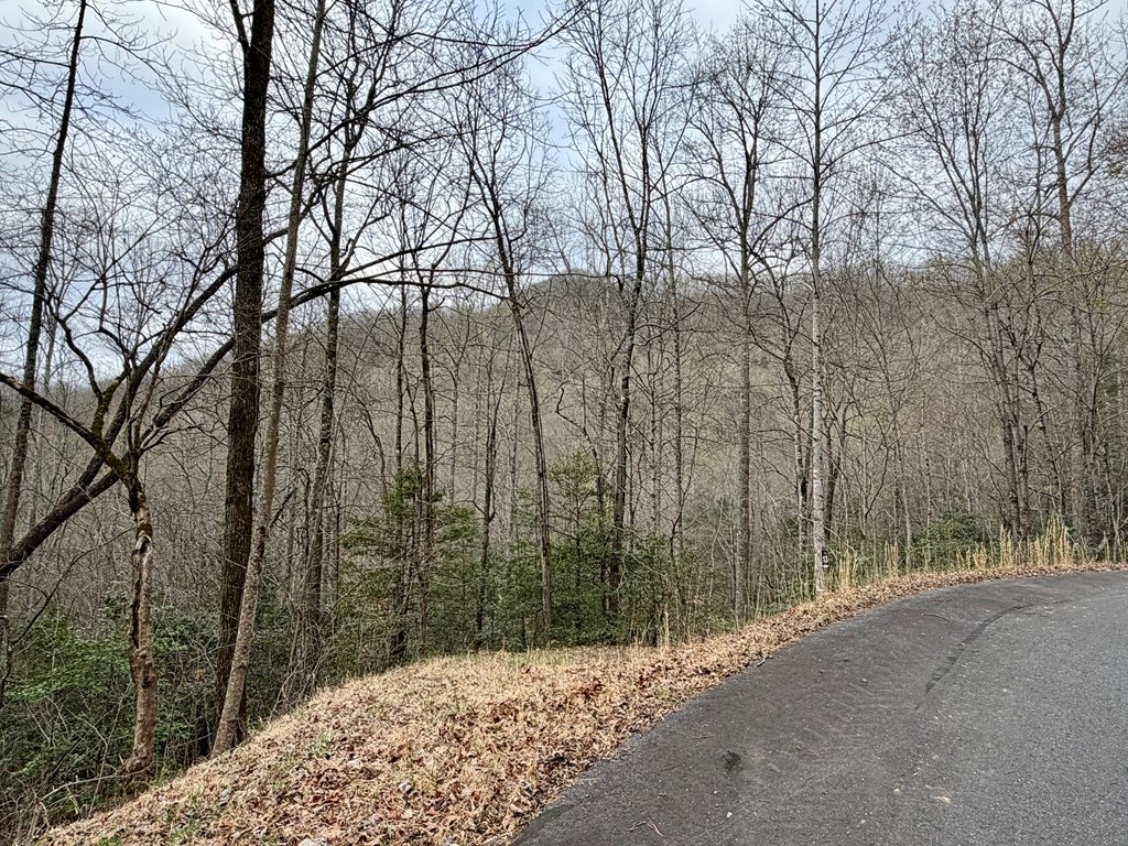 Lot 14 The Highlands