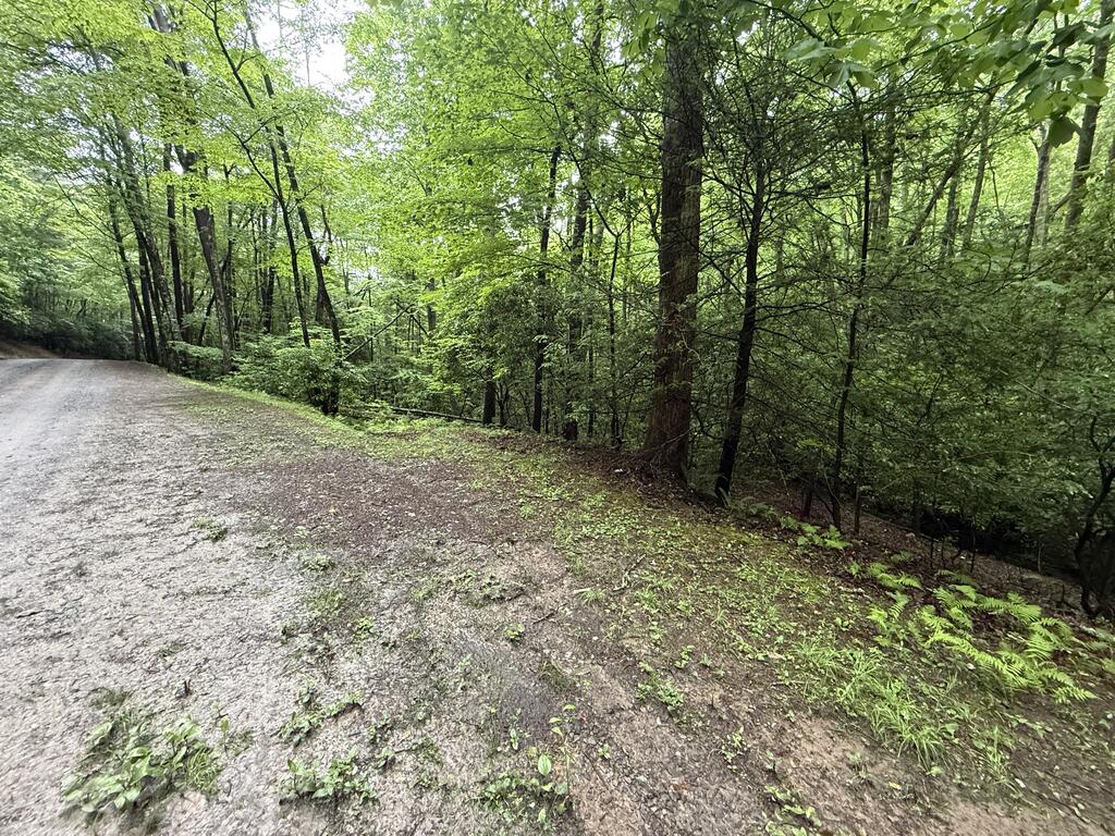 Lot 28 Atoah Loop