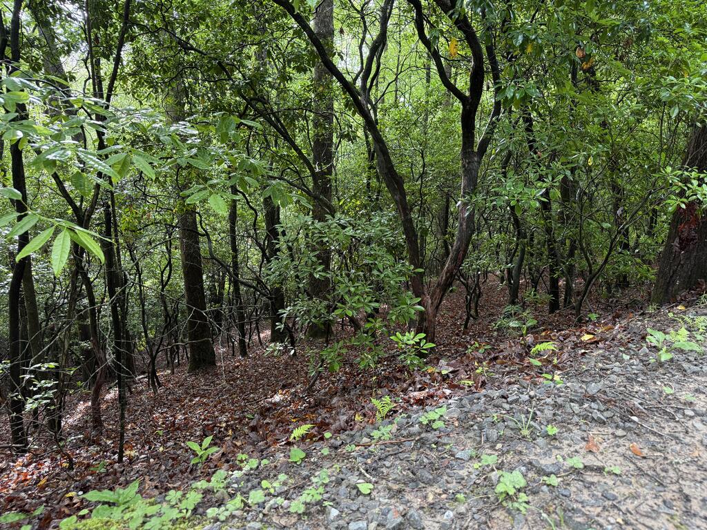 Lot 28 Atoah Loop
