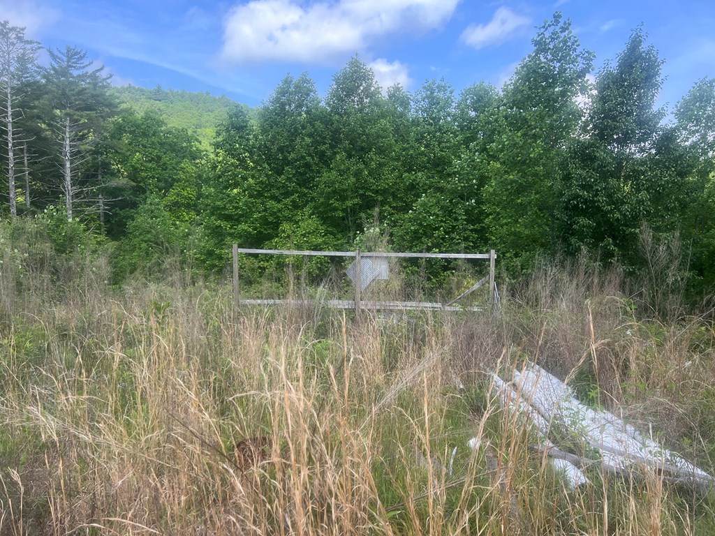 Lot 104 Ashe Court