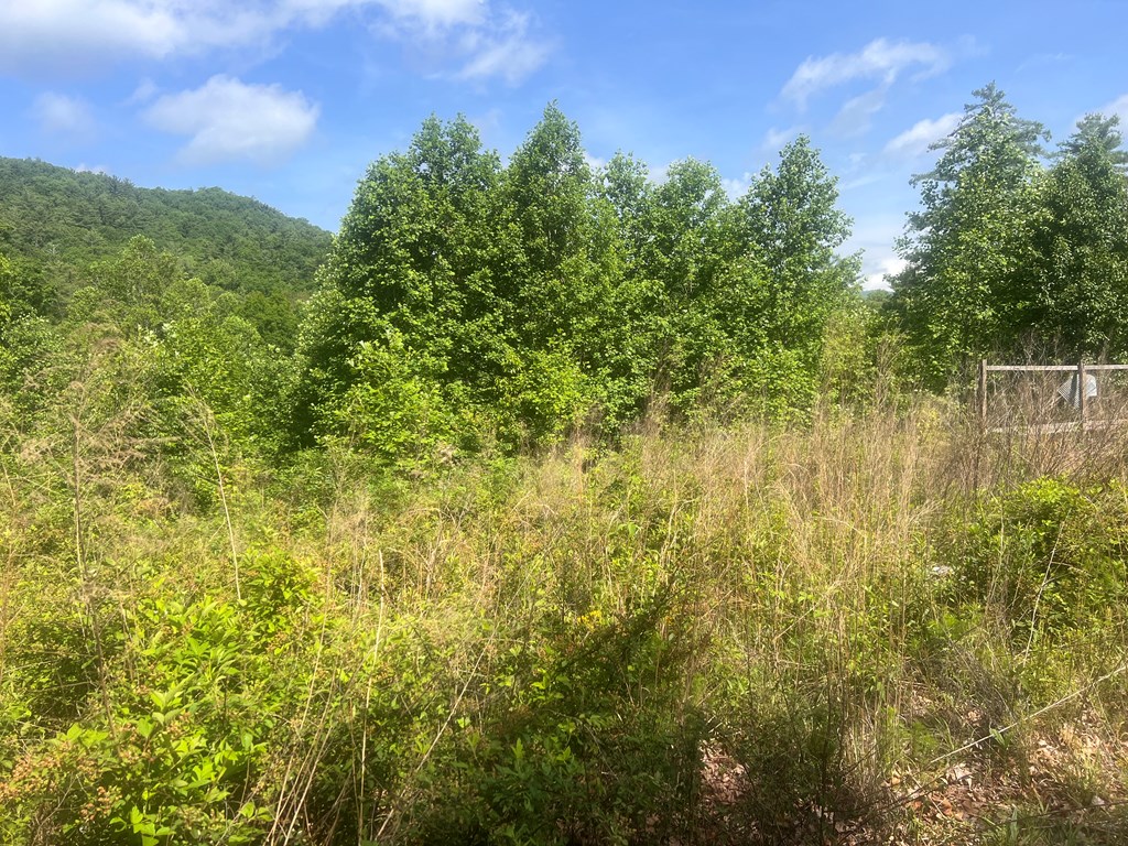 Lot 104 Ashe Court