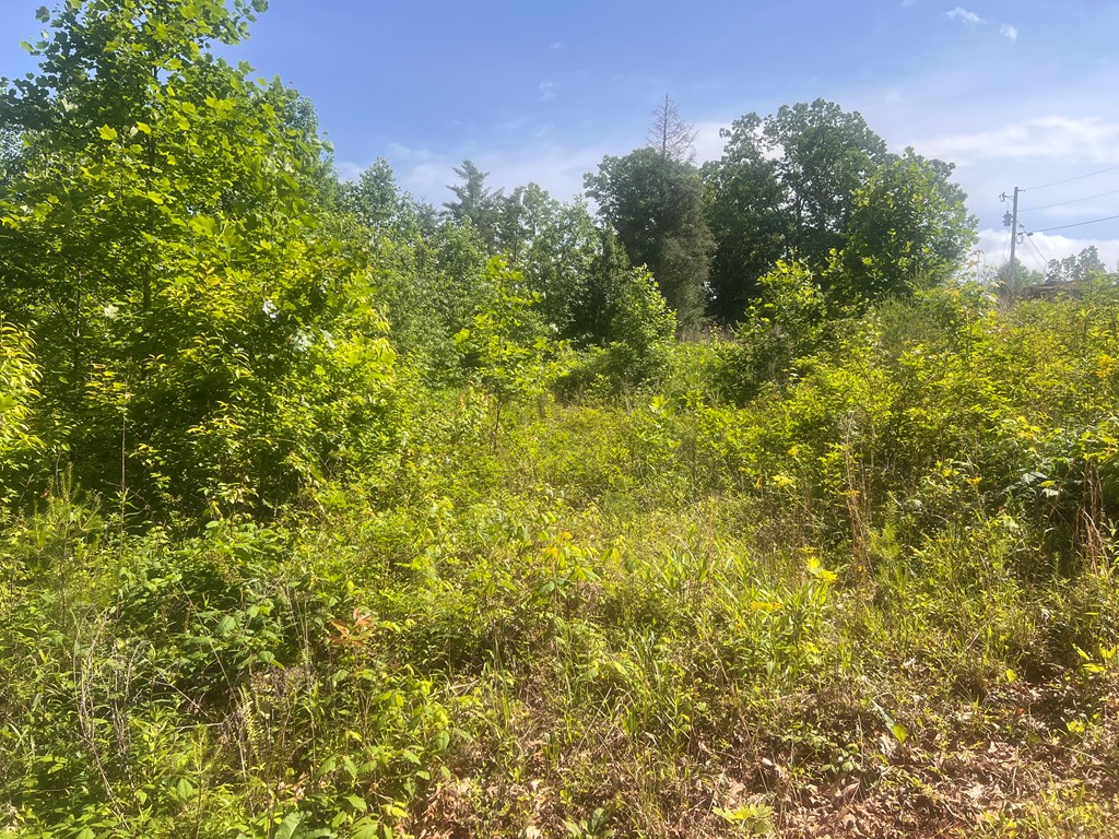 Lot 104 Ashe Court