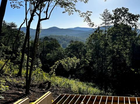 A home in Ellijay