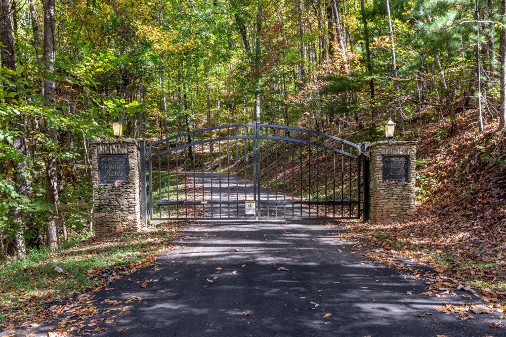 Lot 38 Skyview At Wildlife