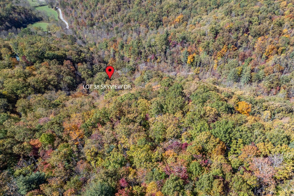 Lot 38 Skyview At Wildlife