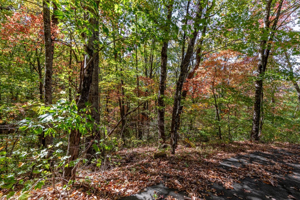 Lot 38 Skyview At Wildlife