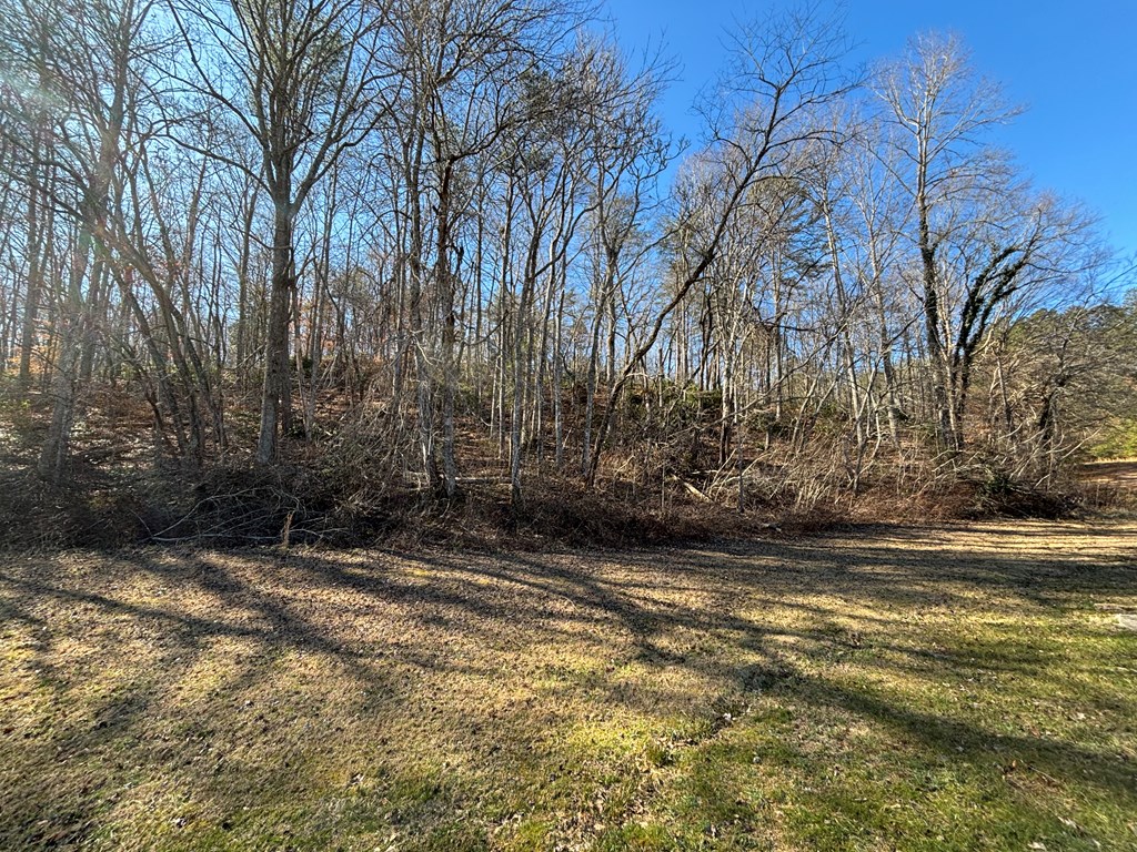 Lot 18 Brasstown Trails