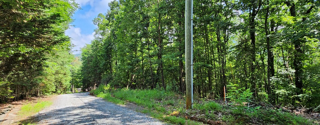 LT51LT52 Buena Vista Drive