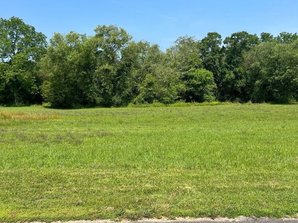 Lot 55 Brasstown Trails