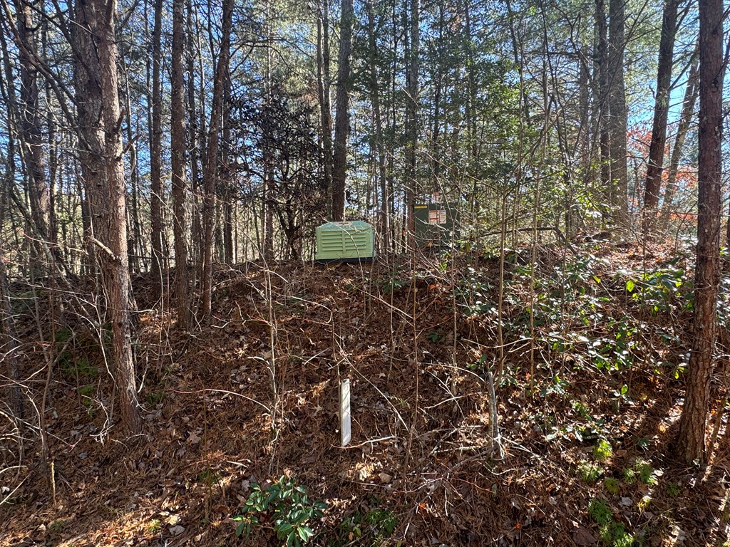 Lot 33 East Ridge Lane